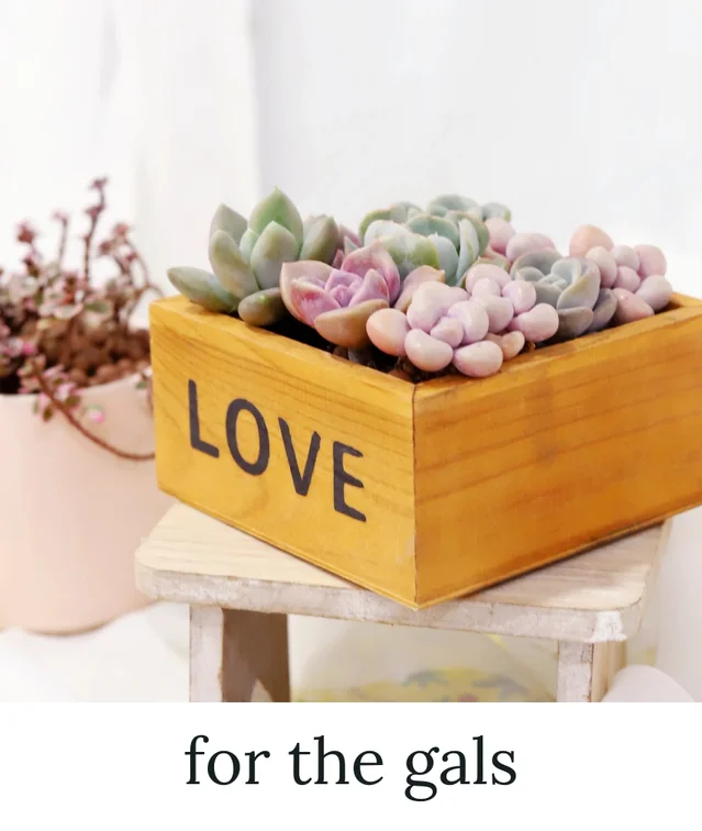 Valentine's Gifts for the gals