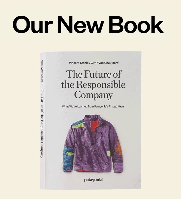 Book: The Future of the Responsible Company.