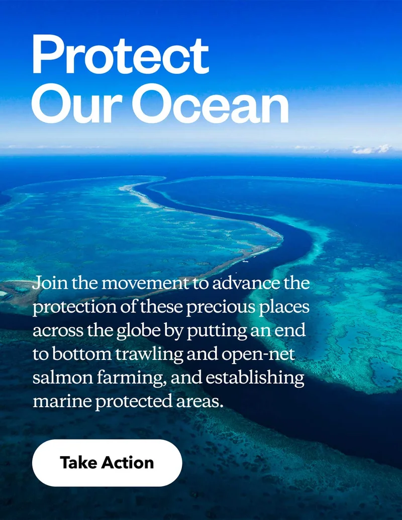Protect Our Ocean. Join the movement to advance the protection of these precious places across the globe by putting an end to bottom trawling and open-net salmon farming, and establishing marine protected areas. Take Action