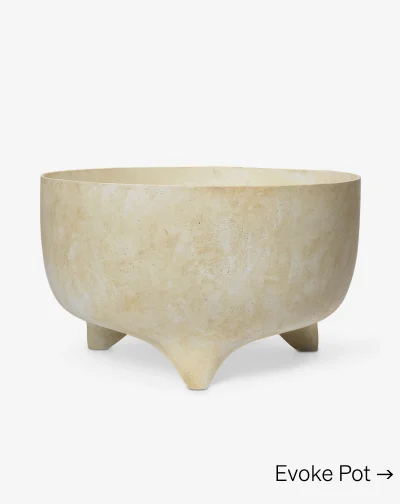 Shop Evoke Pot
