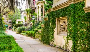 Savannah