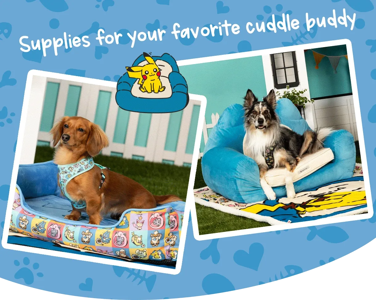 Supplies for your favorite cuddle buddy.