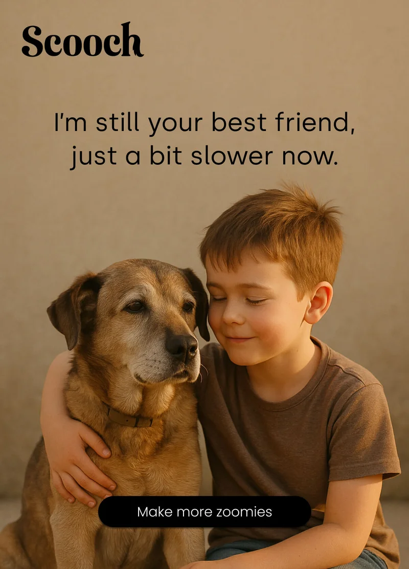 I’m still your best friend, just a bit slower now. - Make more zoomies