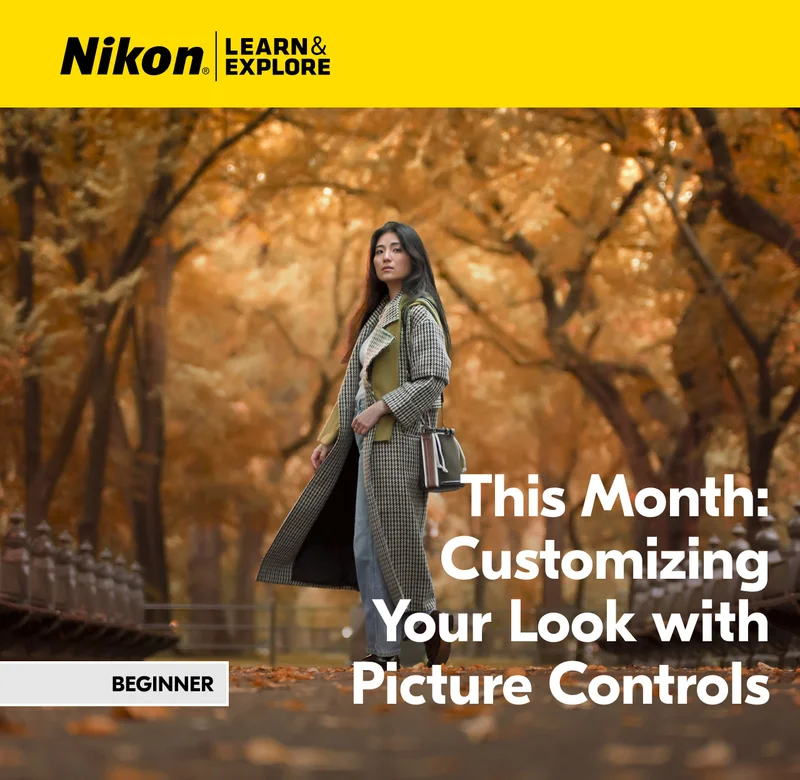 Nikon Learn and Explore | This Month: Customizing Your Look with Pciture Controls