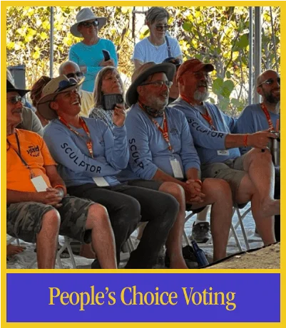 people choice voting