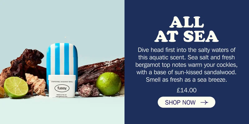 The British Seaside Collection