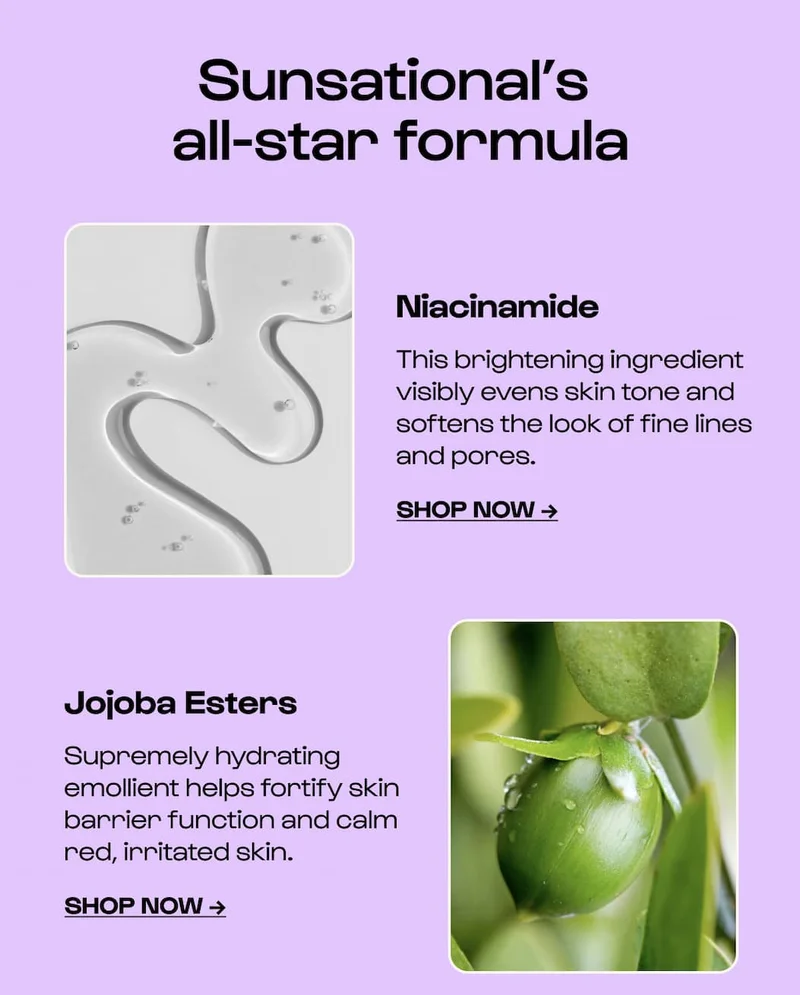 SPF Ingredients