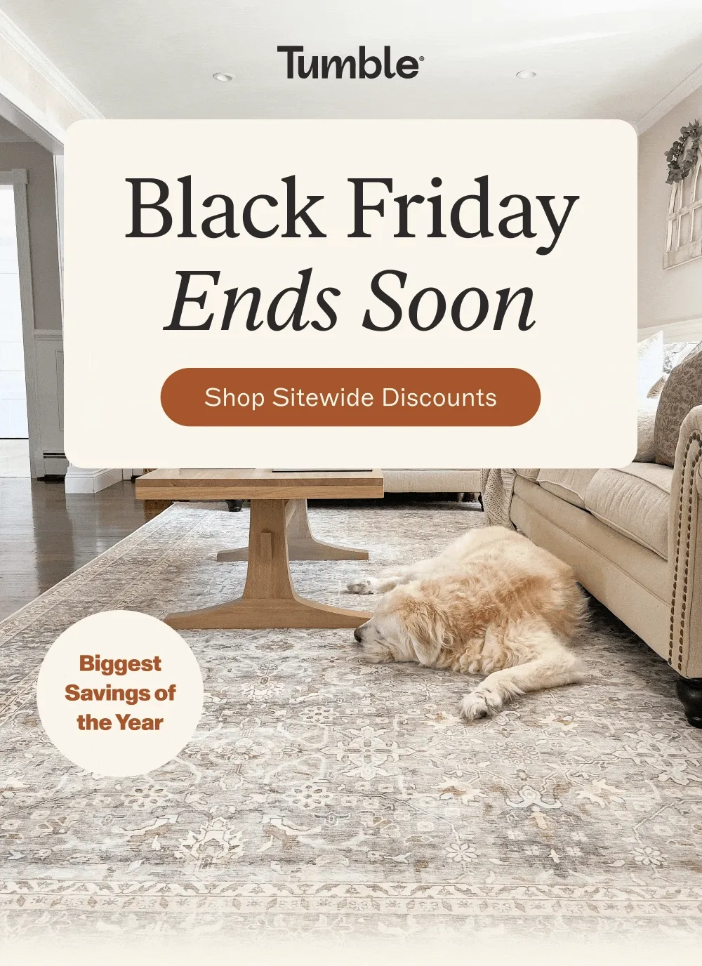 Black Friday Ends Soon [Shop Sitewide Discounts]