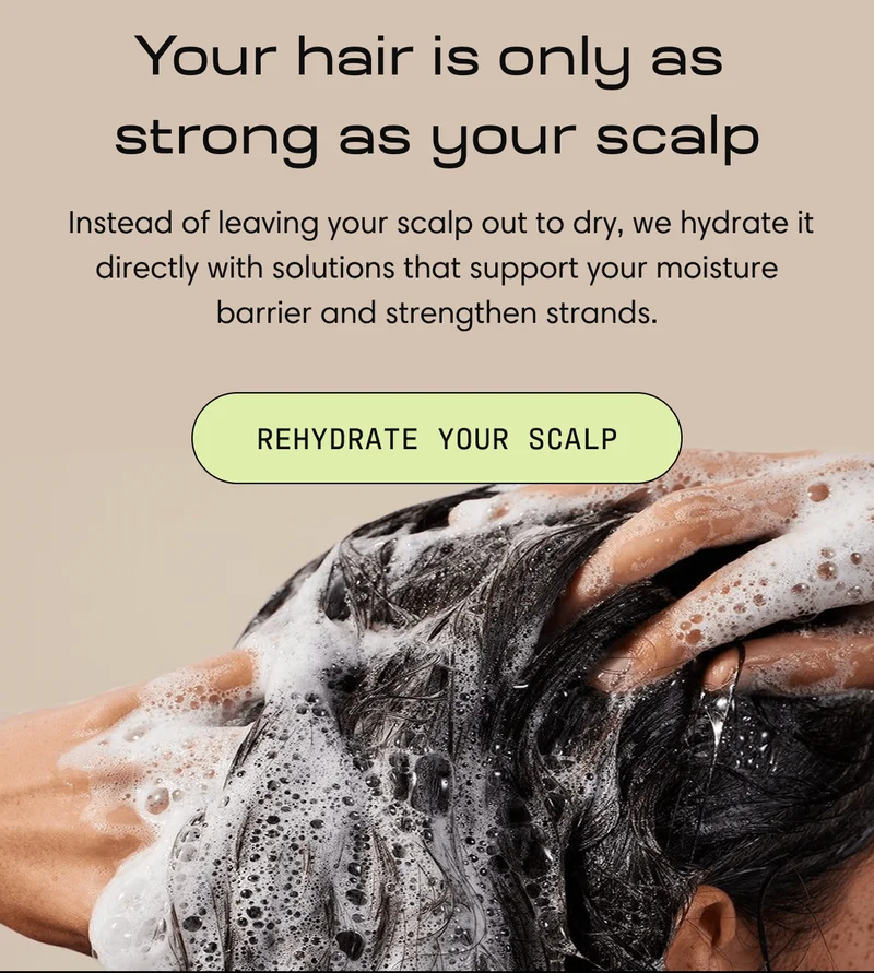 Your hair is only as  strong as your scalp | rehydrate your scalp