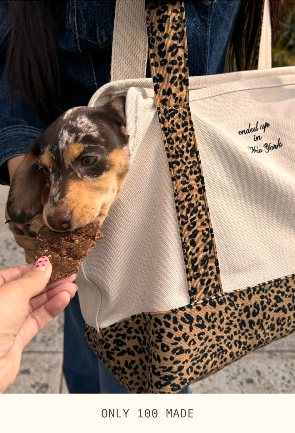 Ended Up in New York Canvas Tote