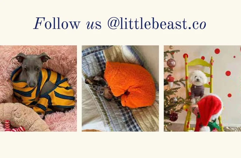 Follow us @littlebeast.co