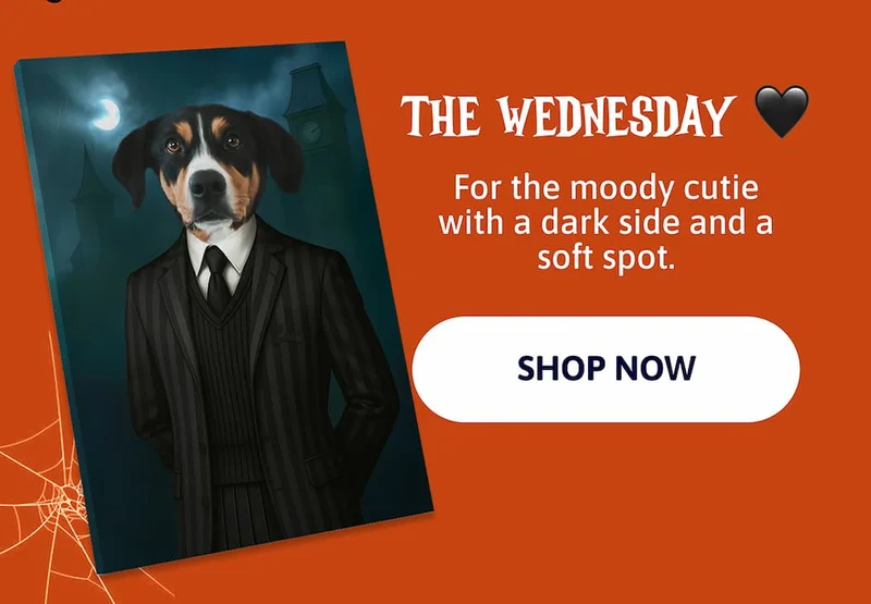 The Wednesday 🖤 For the moody cutie with a dark side and a soft spot.
