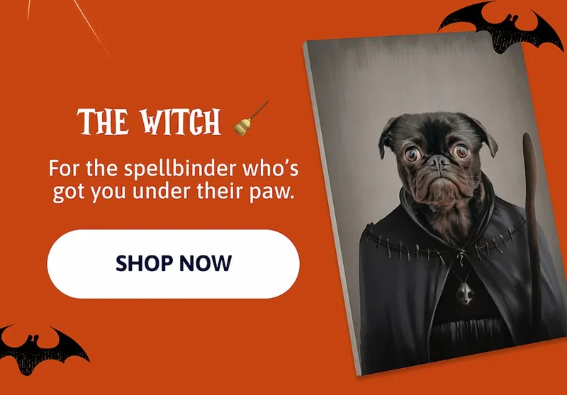 The Witch 🧹 For the spellbinder who’s got you under their paw.