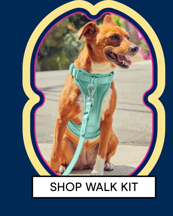 Harness Walk Kit