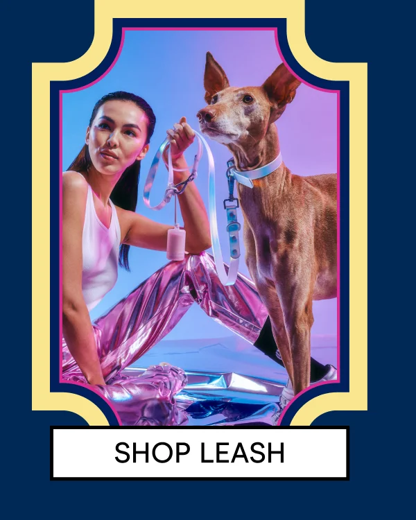 Dog Leash