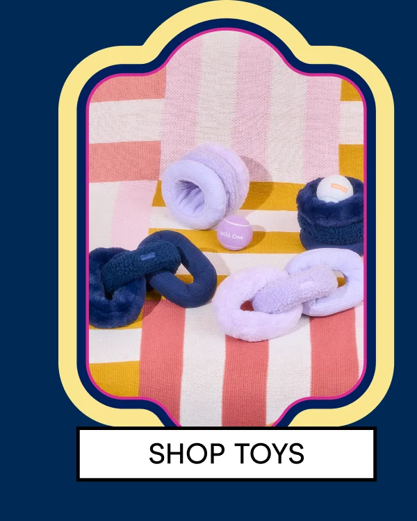 Shop Toys