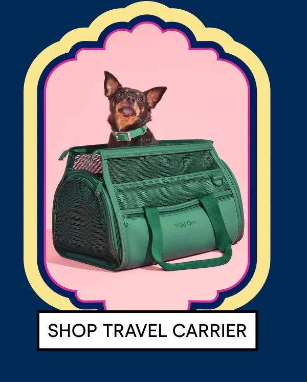 Travel Carrier