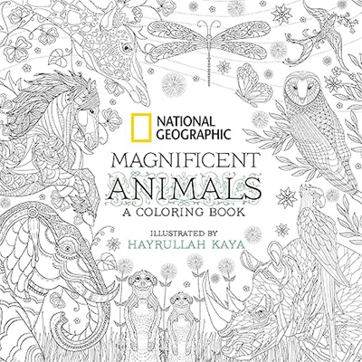 Magnificent Animals: A Coloring Book