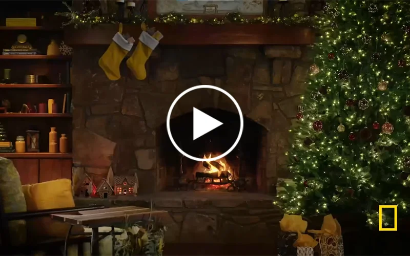 Nat Geo Yule Log