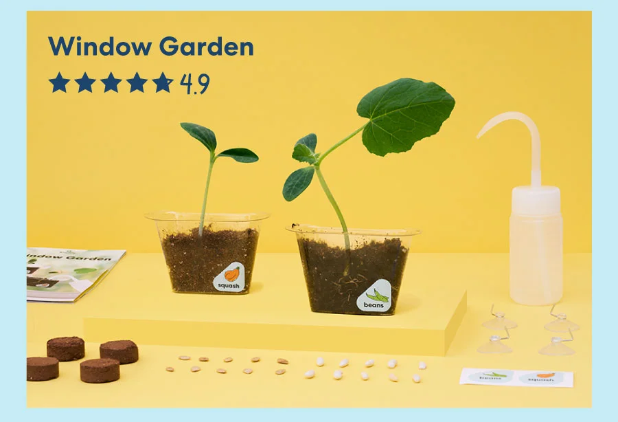 A bright yellow background showcases a plant-growing science kit. Two small pots with green seedlings, peat discs, a water dropper, and an instruction guide are arranged neatly. The text overlay reads, ''Window Garden'' with a 4.9-star rating.