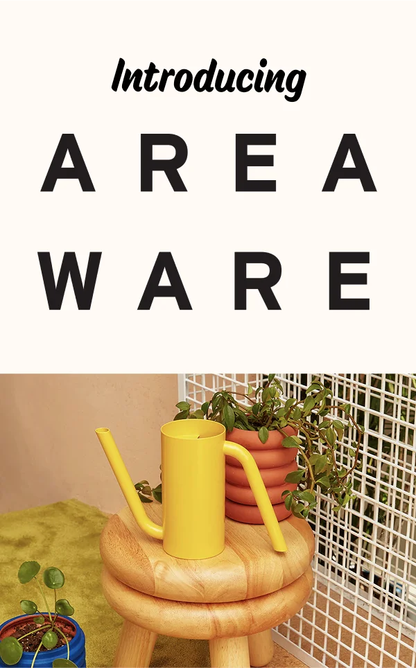 Introducing Areaware!