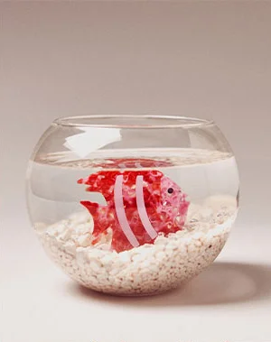 Fish hair clip