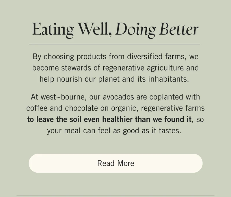 Fig Leaf and Blueberry Summer Avocado Oil Cake Image