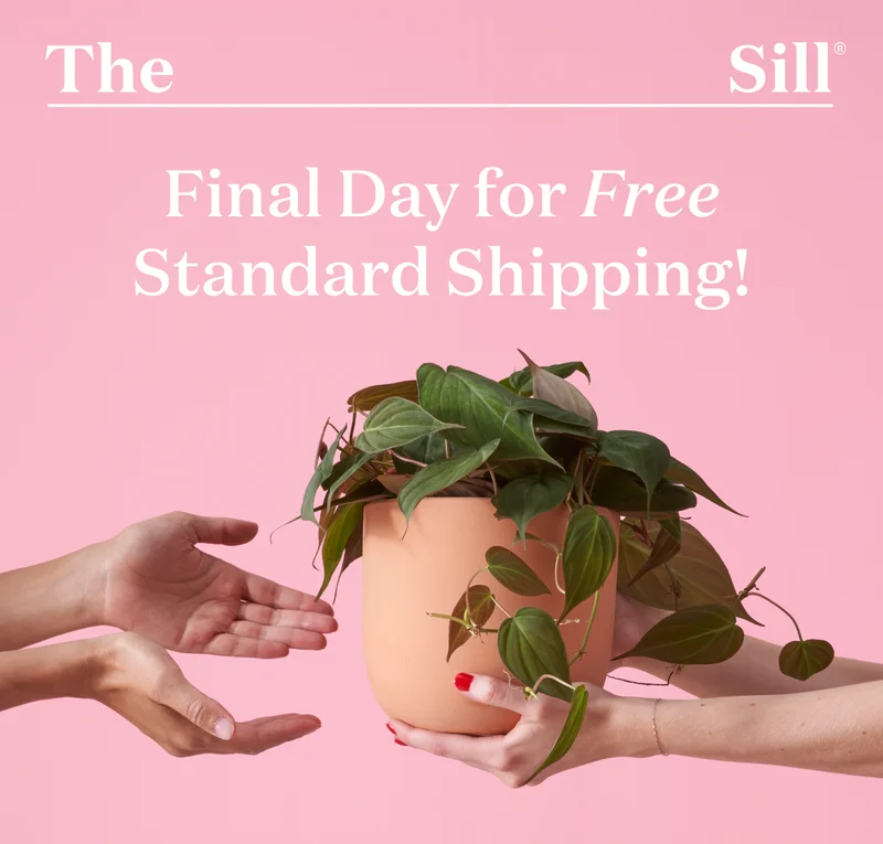 Final Day for Free Standard Shipping!