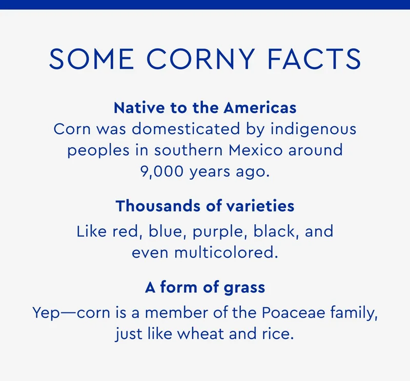 Some Corny Facts