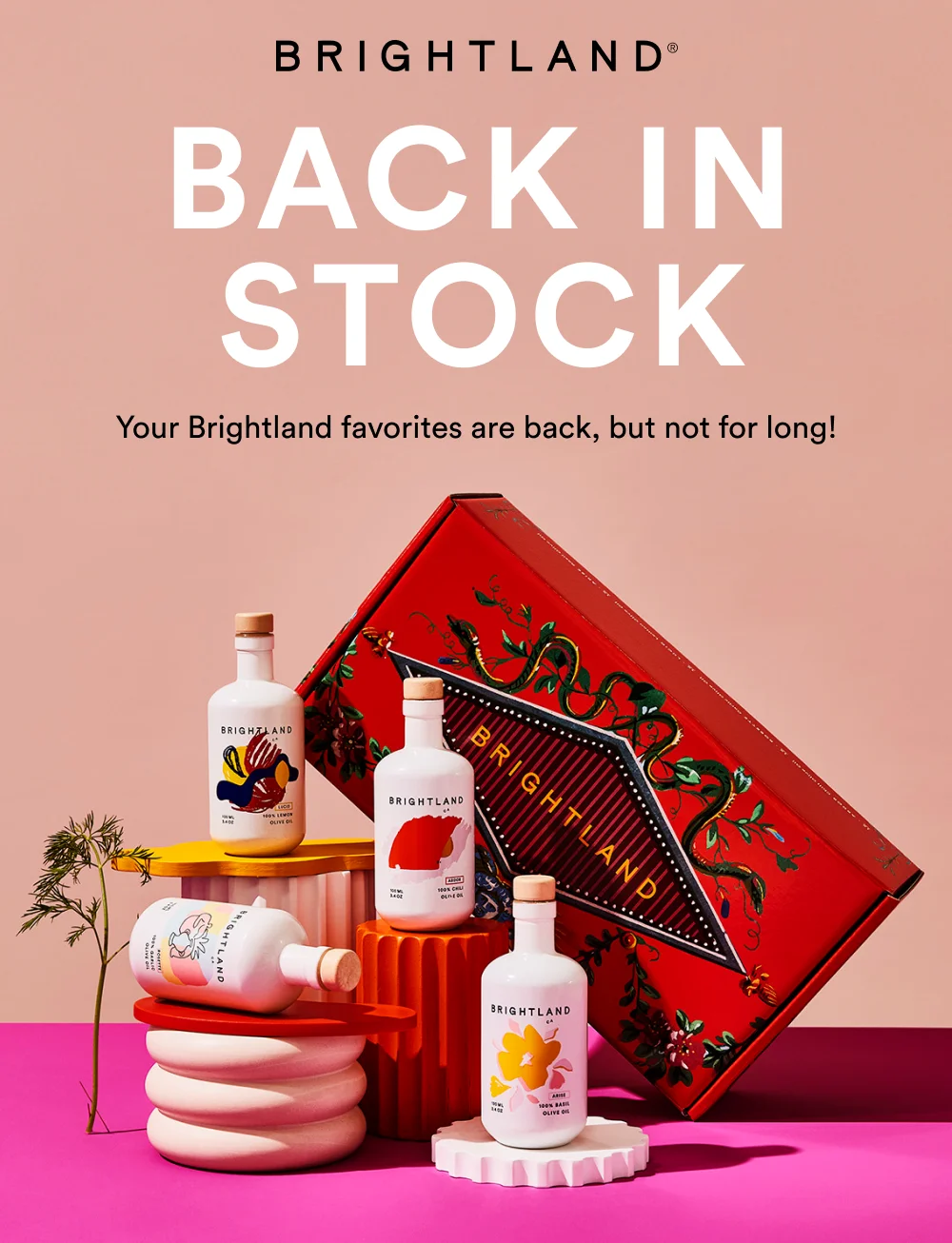Shop Brightland