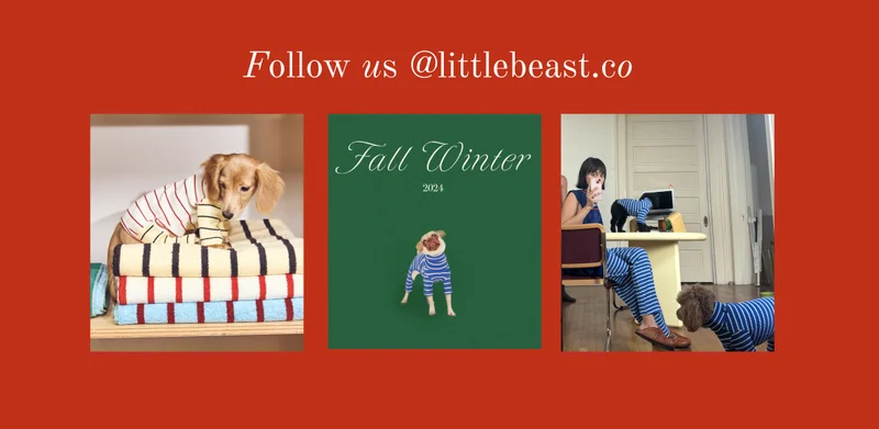 Follow us on Instagram