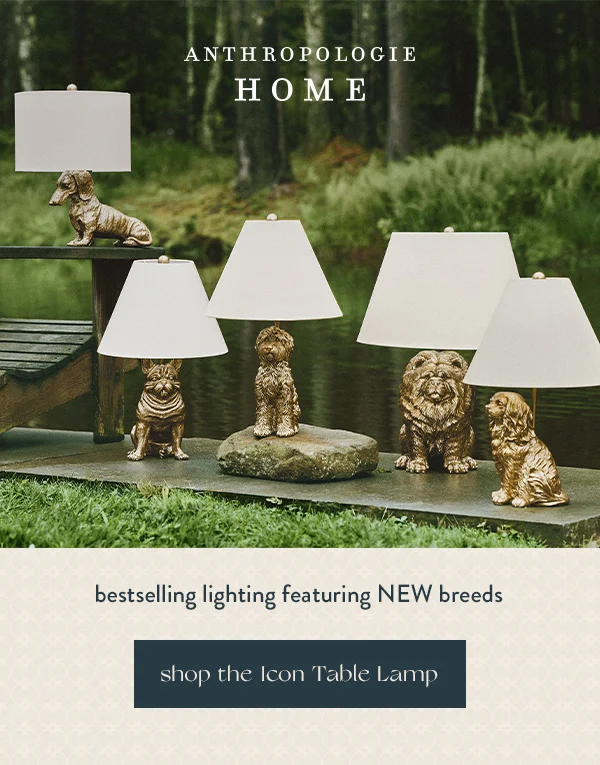 Shop the icon table lamp