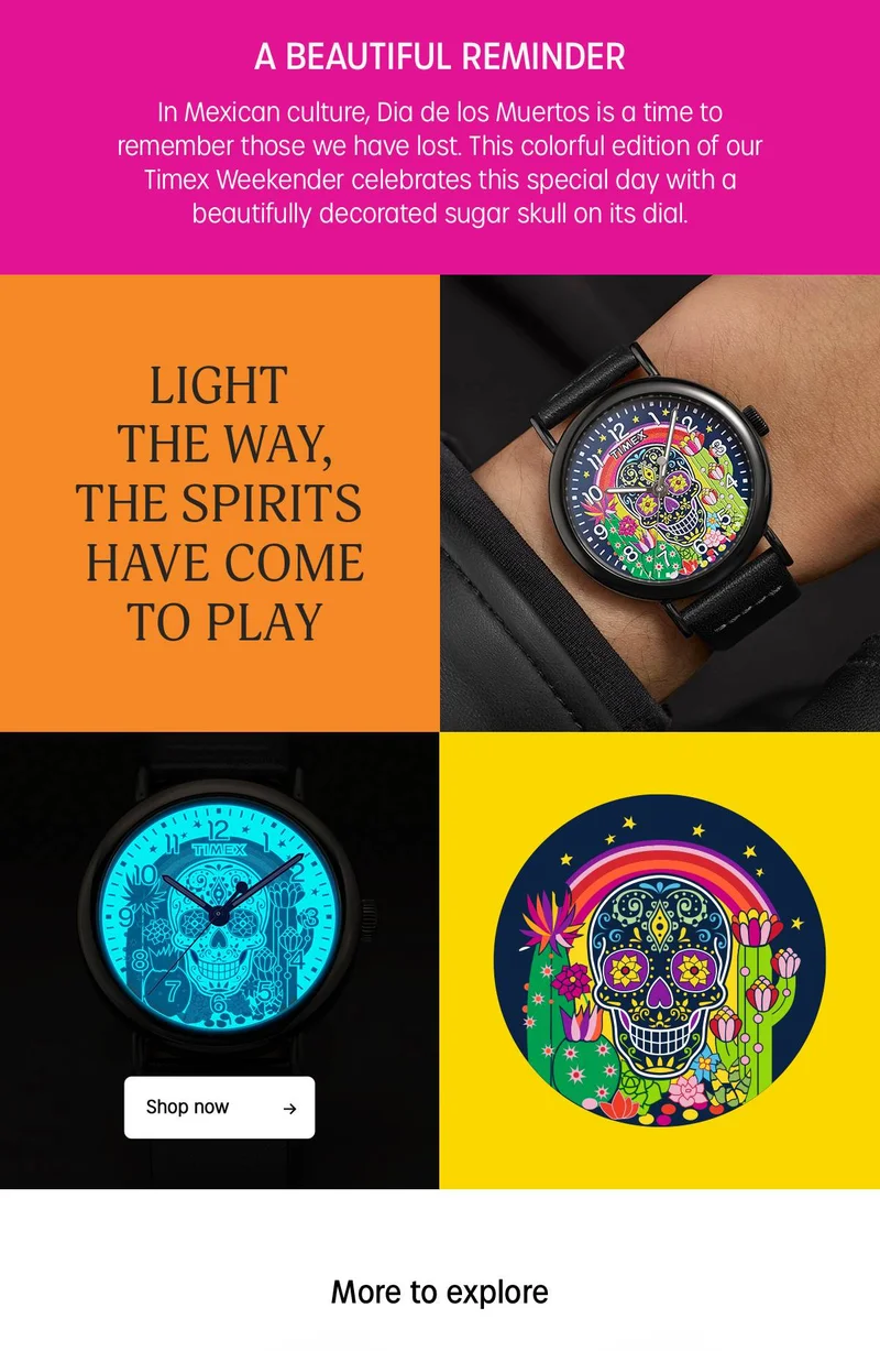 Timex Weekender Day of the Dead | Shop Now