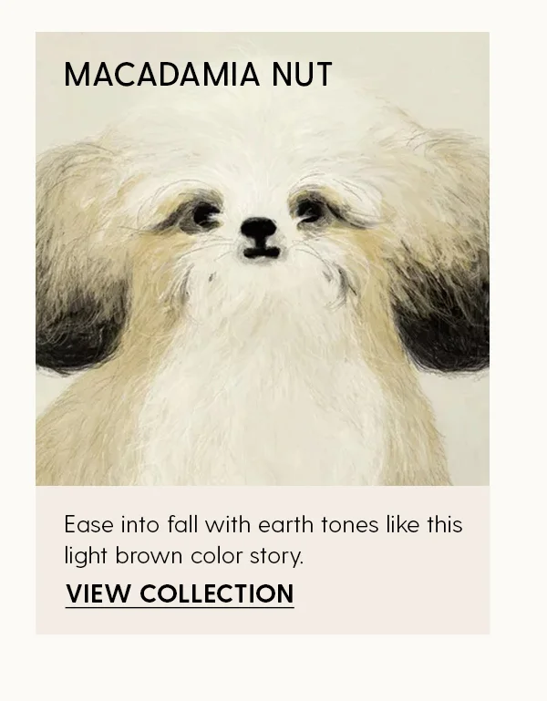 Macadamia Nut. | Ease into fall with earth tones like this light brown color story. | View Collection