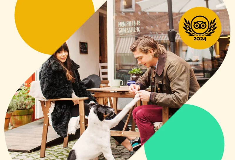 Image Description: A couple relaxing on an outdoor patio of a pet-friendly cafe with their dog with a Travelers’ Choice Awards badge overlaid on the image