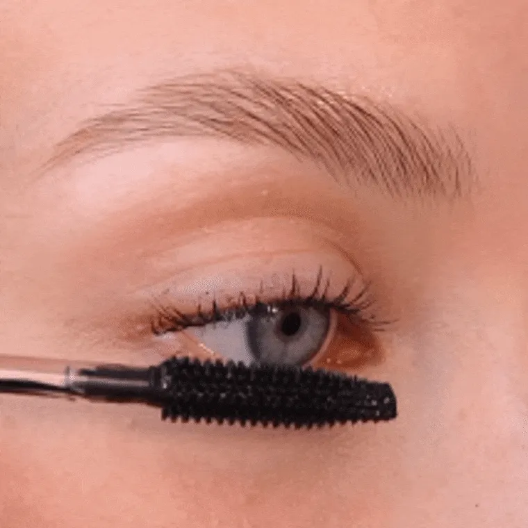 apply to top lashes