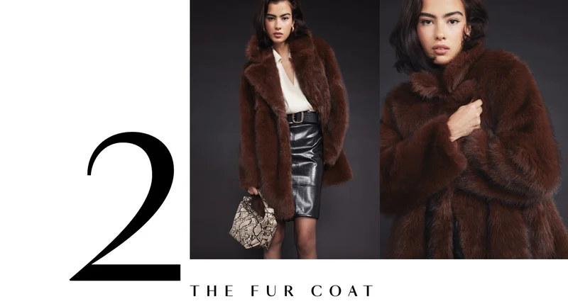 THE FUR COAT