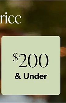 Shop Sale 200 and Under