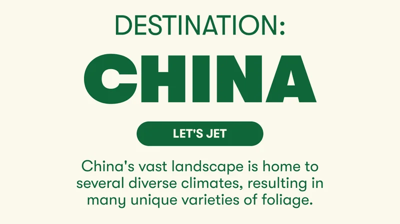 Destination: China. Let's Jet! China's vast landscape is home to several diverse climates, resulting in many unique varieties of foliage