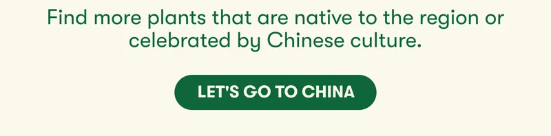 Find more plants that are native to the region or celebrated by Chinese culture. Let's go to China!