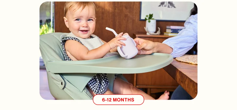 6-12 MONTHS