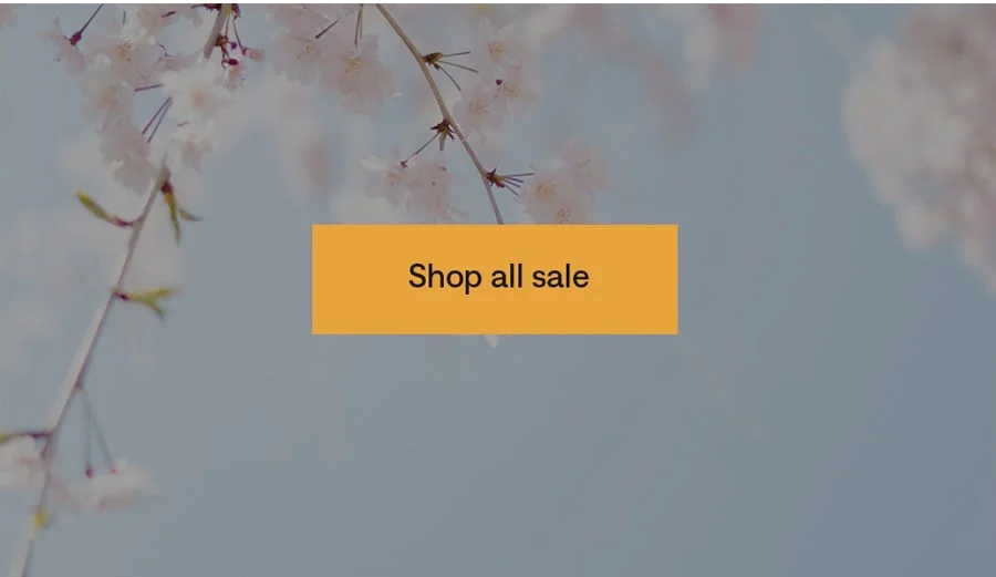Shop all sale