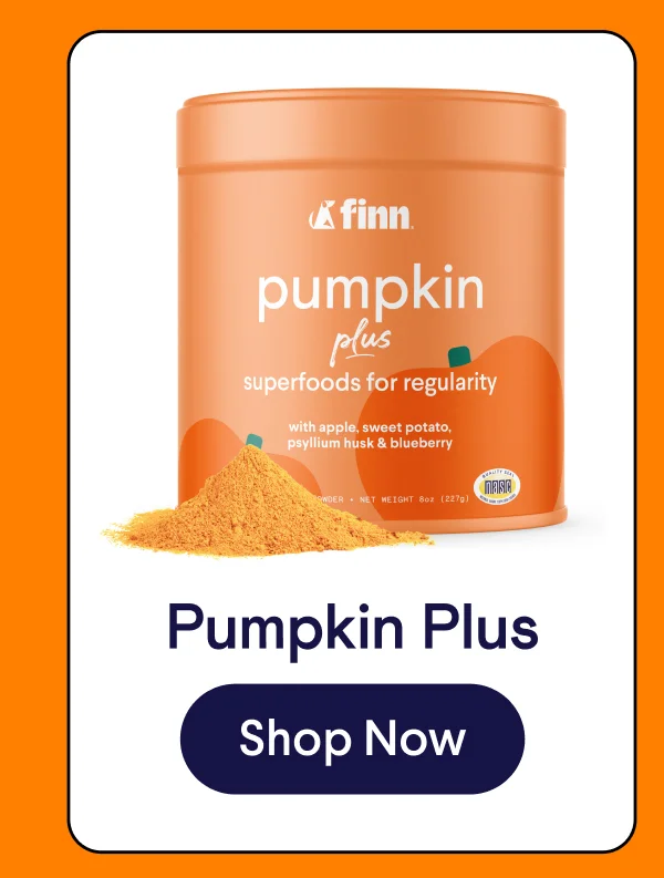 Pumpkin Plus | Shop Now