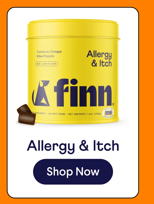 Allergy & Itch | Shop Now