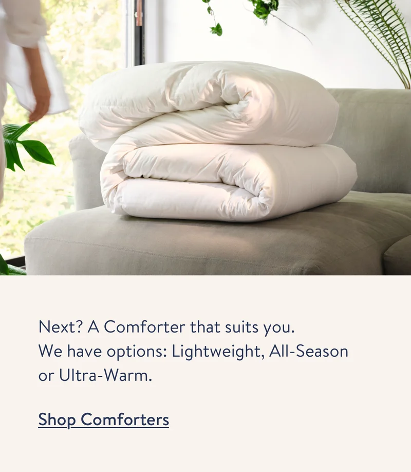Shop Comforters.