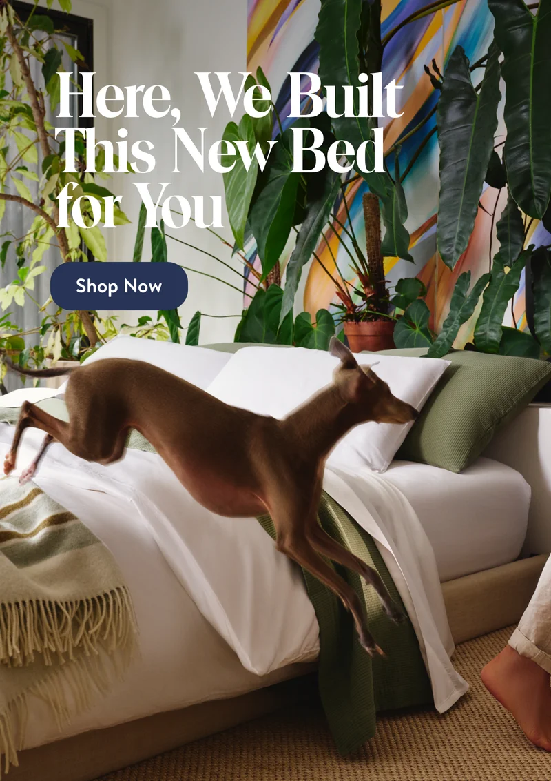 We built this new bed for you. Shop now.