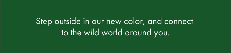 Shop New Hues - Summer Thyme Green Heather