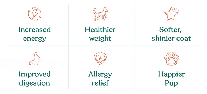 The Benefits Of Raw