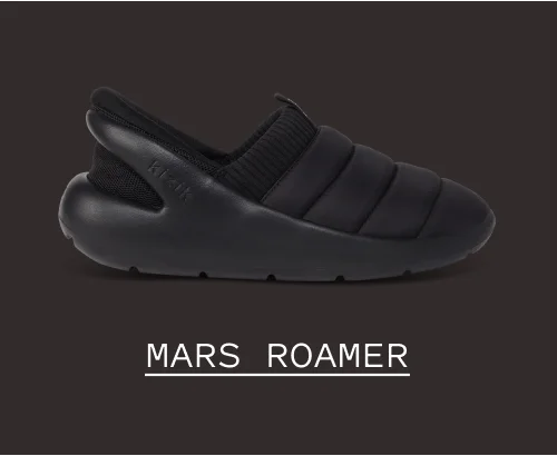 Mars Roamer Blackout