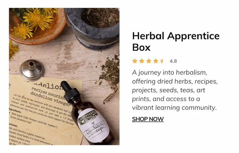 Herbal Apprentice Box Apothecary At Home